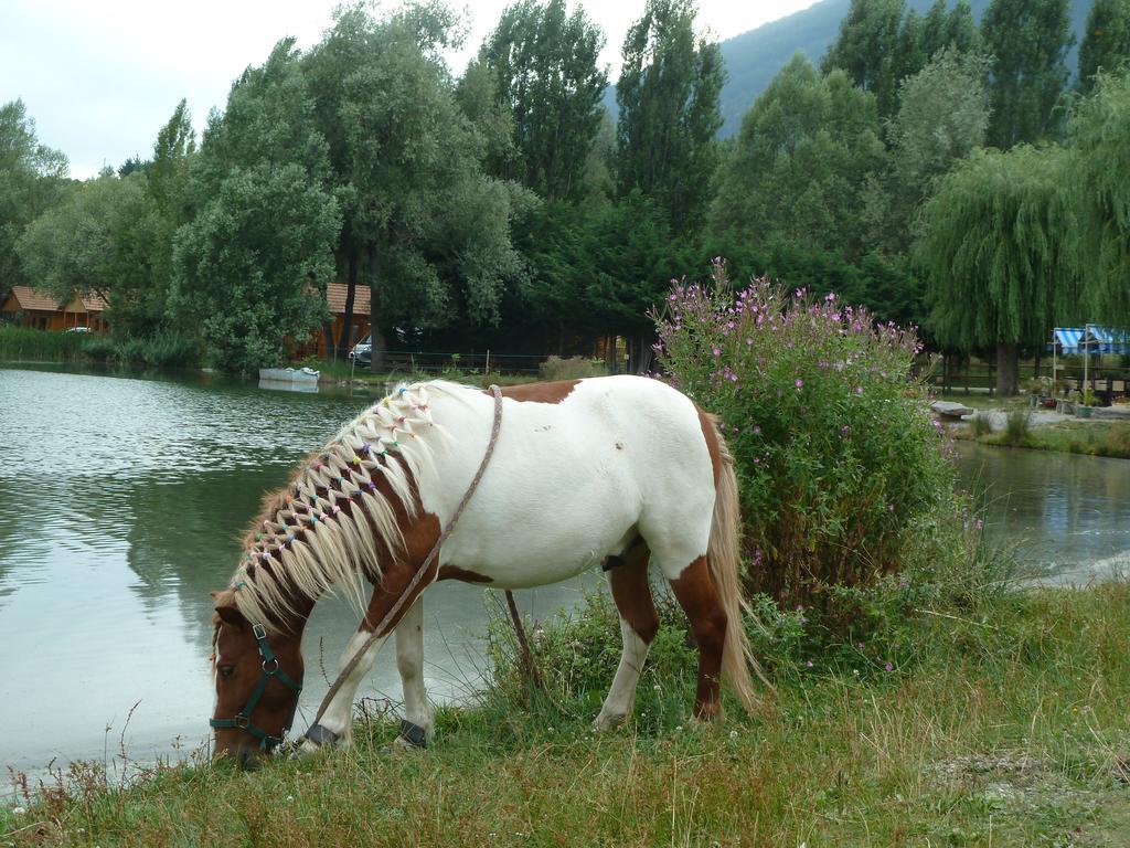 Camping La Motte Flottante La Freissinouse Bagian luar foto