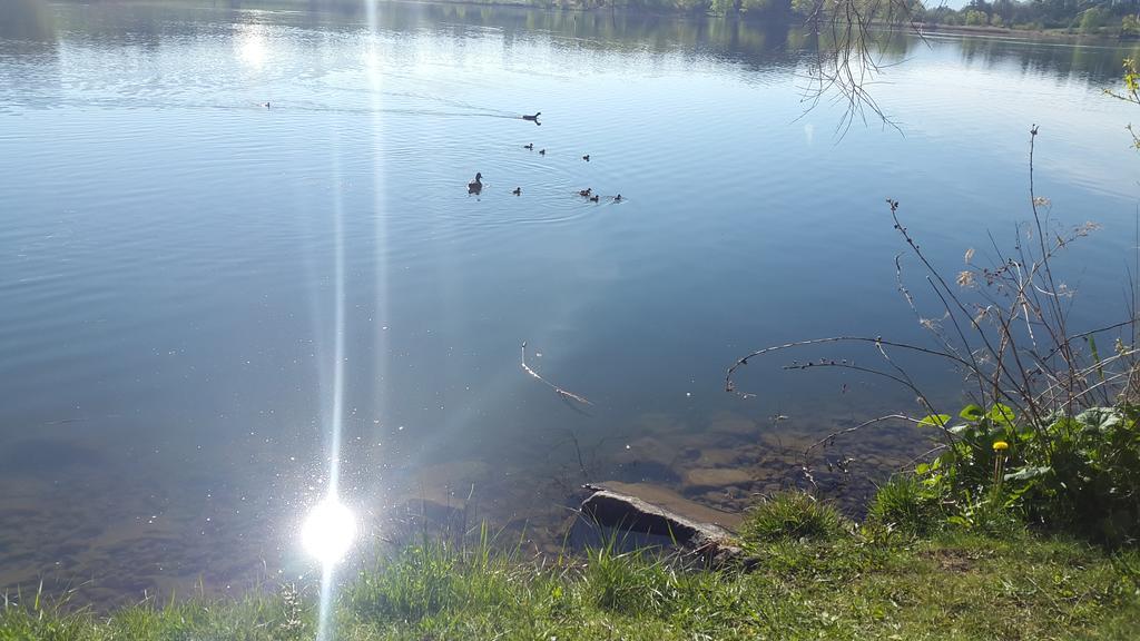 Camping La Motte Flottante La Freissinouse Bagian luar foto