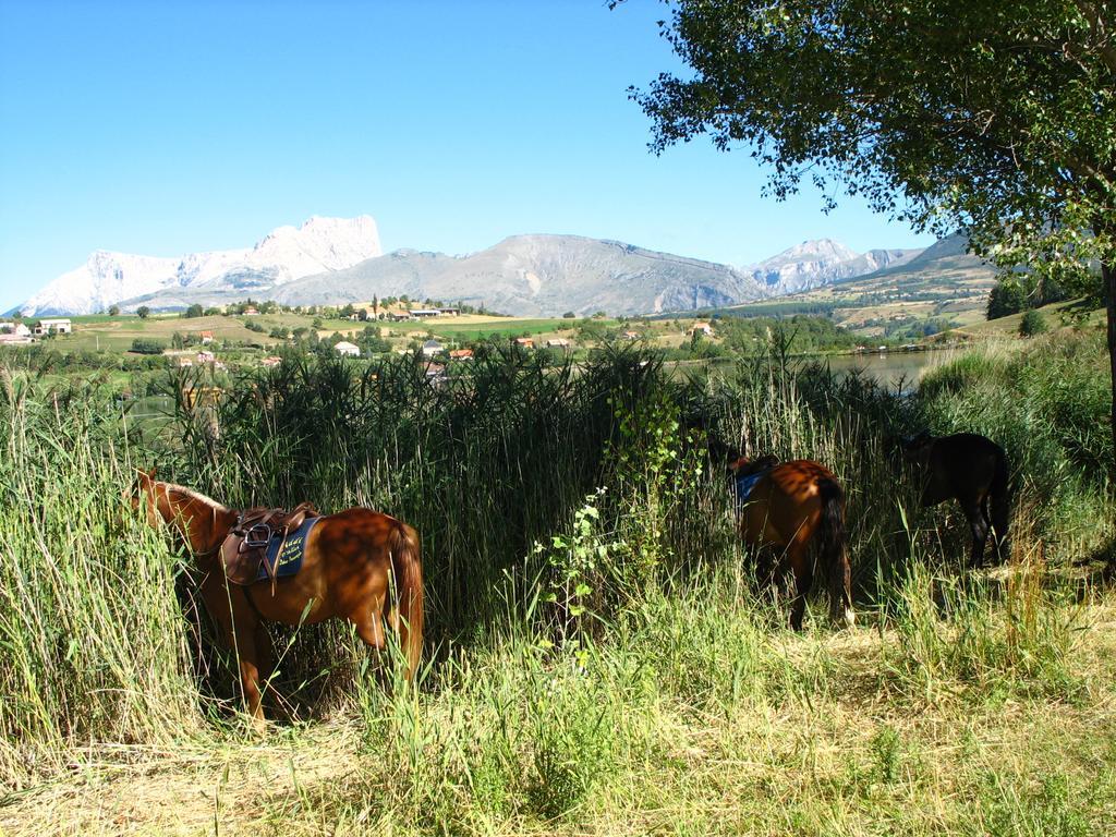 Camping La Motte Flottante La Freissinouse Bagian luar foto
